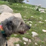 Profile photo of Cory