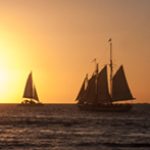 Profile photo of Bill