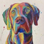 Profile photo of Seth