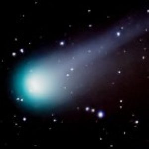 Profile photo of Mark Brice