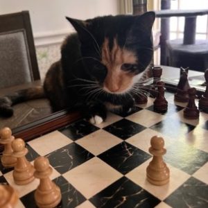 Profile photo of Josette