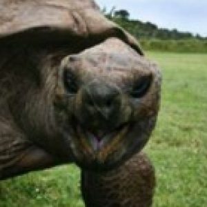 Profile photo of Anthony D