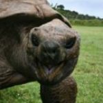 Profile photo of Anthony D