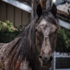 Profile photo of Michael M