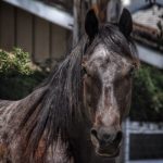 Profile photo of Michael M