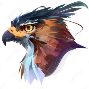 Profile photo of Felix L