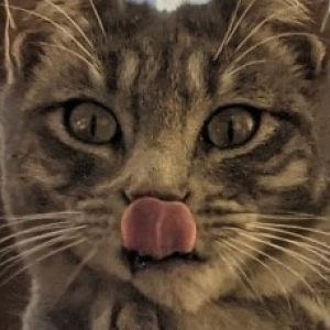 Profile photo of Dave