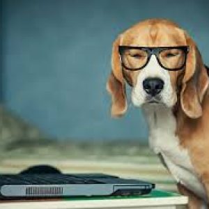 Profile photo of Michael L