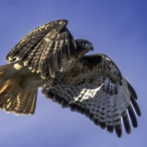 Profile photo of Richard P