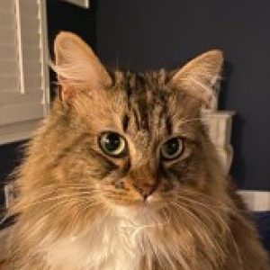 Profile photo of Jeff R