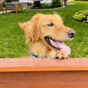 Profile photo of Gary