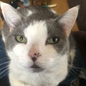 Profile photo of Kurt W