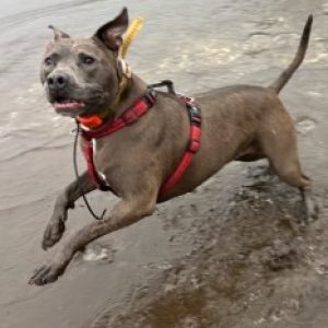 Profile photo of Tina B