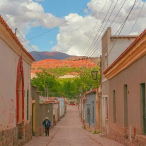 Profile photo of Damian