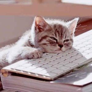 Profile photo of Laura K