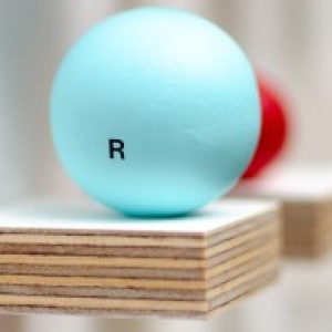 Profile photo of Stuart