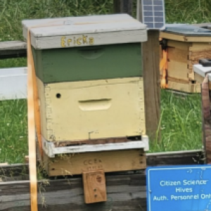 Profile photo of Robert B