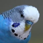 Profile photo of Keith