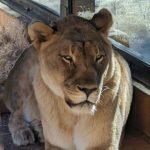 Profile photo of Robert