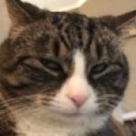 Profile photo of John